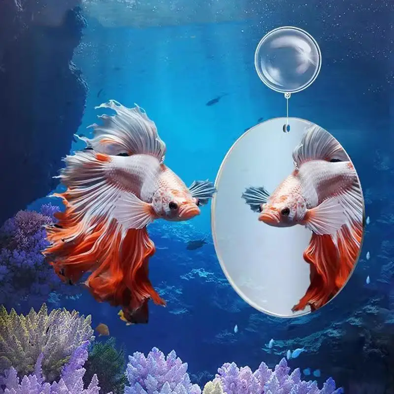Espelho acrílico para treinamento de aquário betta, espelho flutuante para aquário, betta, flowerhorn, treinamento ciclido, ornamentos para tanque de peixes