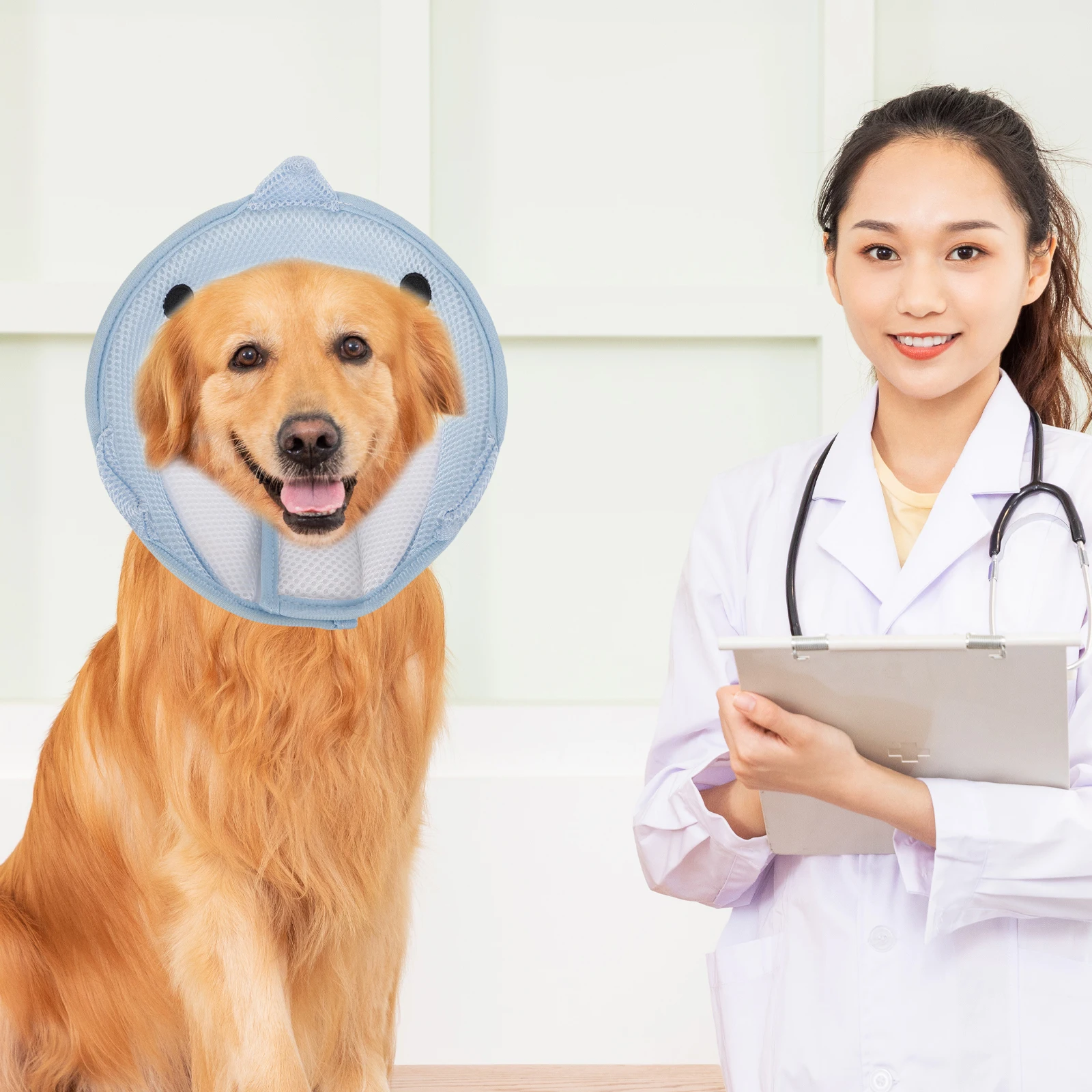 

Pet Collar Cat Dog Recovery Protective Cone Anti lick Neck after Surgery Blue Dolphin Shape Soft Material Comfortable Wear Pet