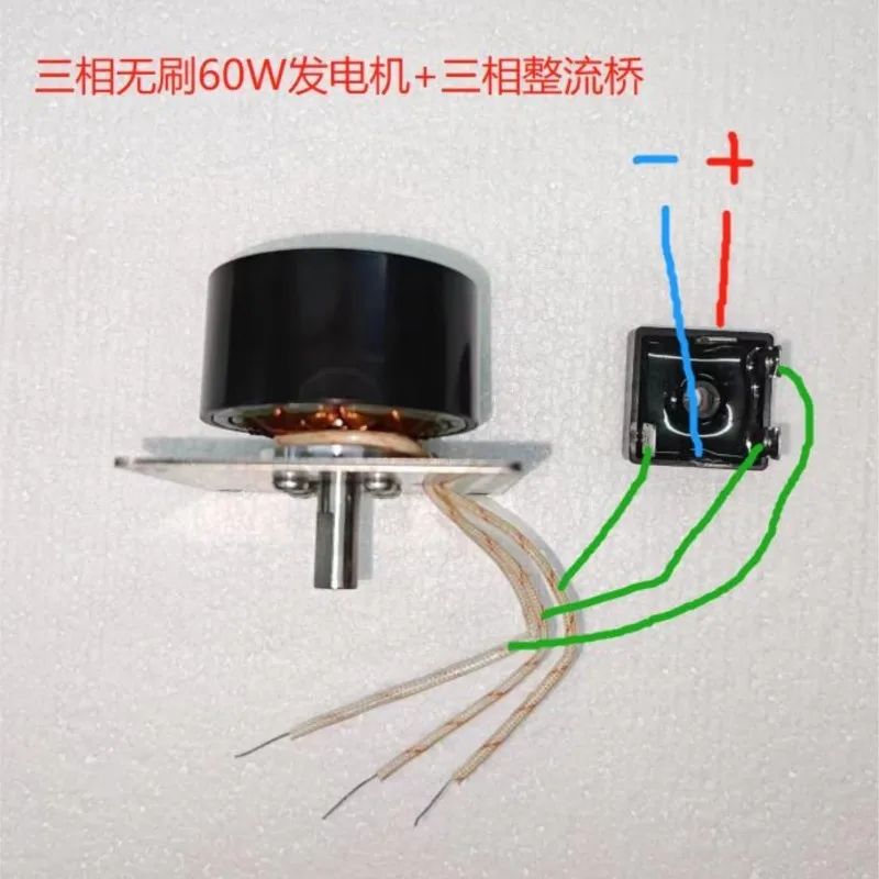 Generator Micro Brushless Three-phase Permanent Magnet Brushless Dual Purpose Motor 60W100w Water Wheel Wind Power 12v24v