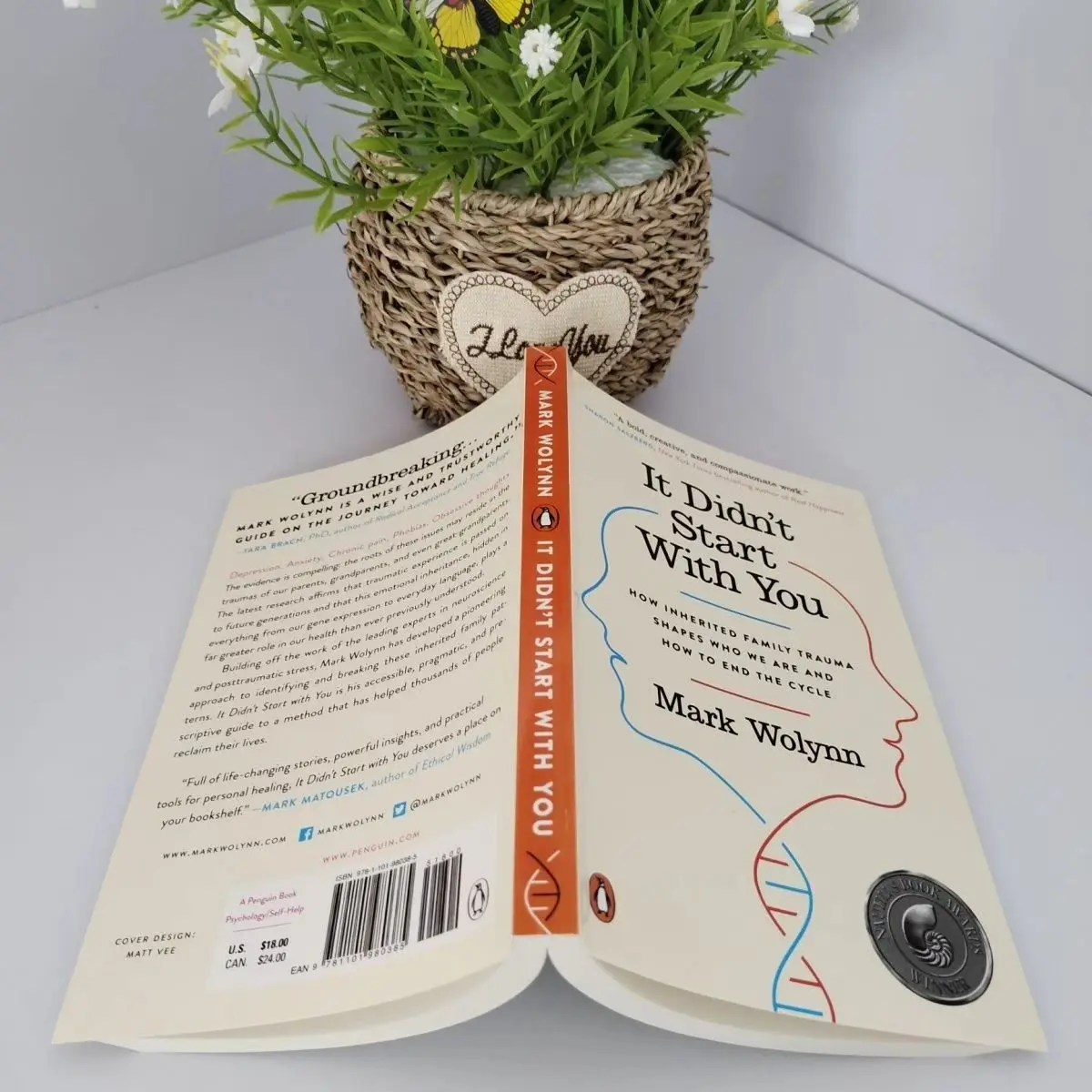 شفاء الصدمات العائلية: إنه ليس دليل خطأك |   كسر الدوائر، الاسترداد من كتاب المساعدة الذاتية لجروح الطفولة