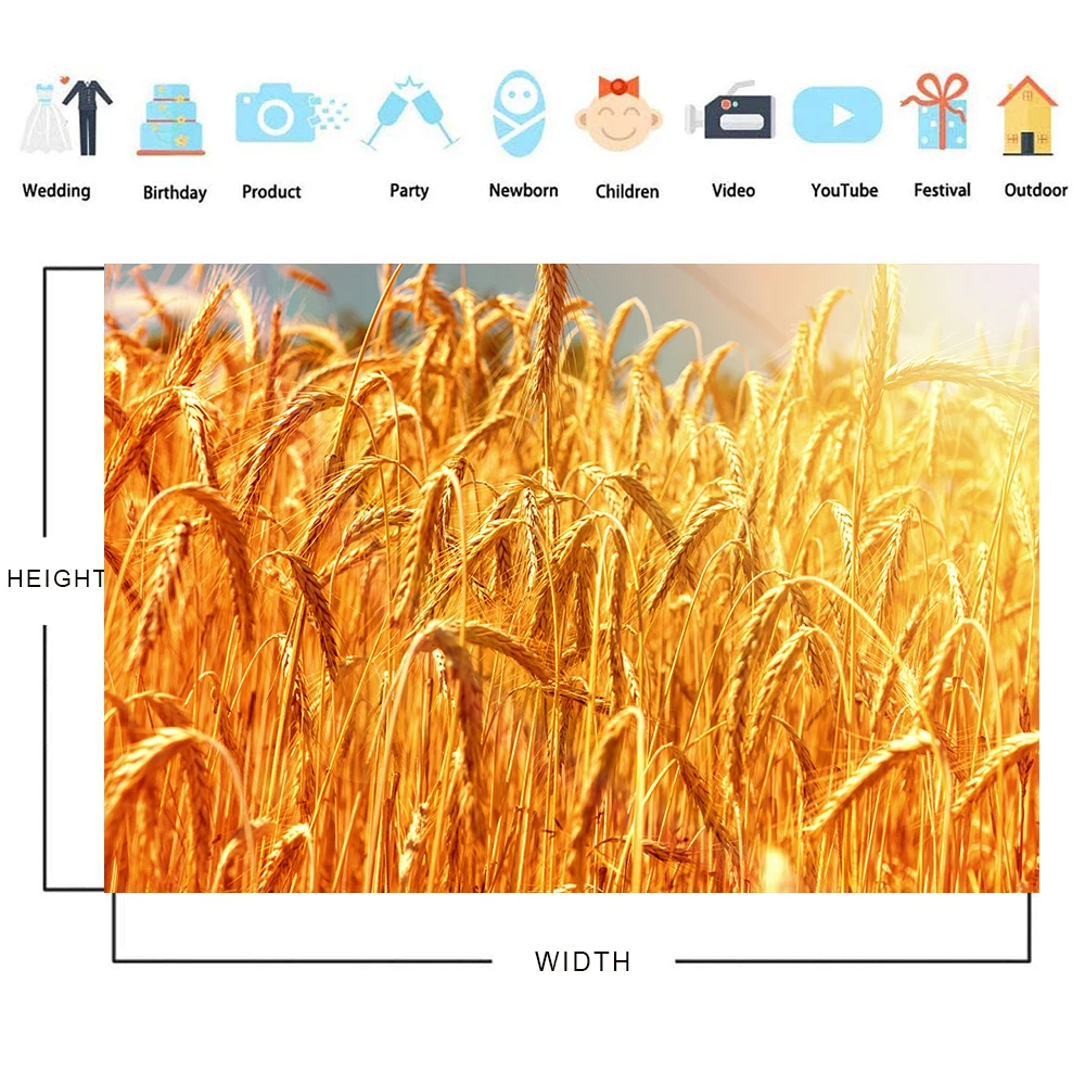 Bonvvie Photography Backdrop Beautiful Sunset Ripe Wheat Ears Golden Field Child Portrait Photocall Background for Photo Studio