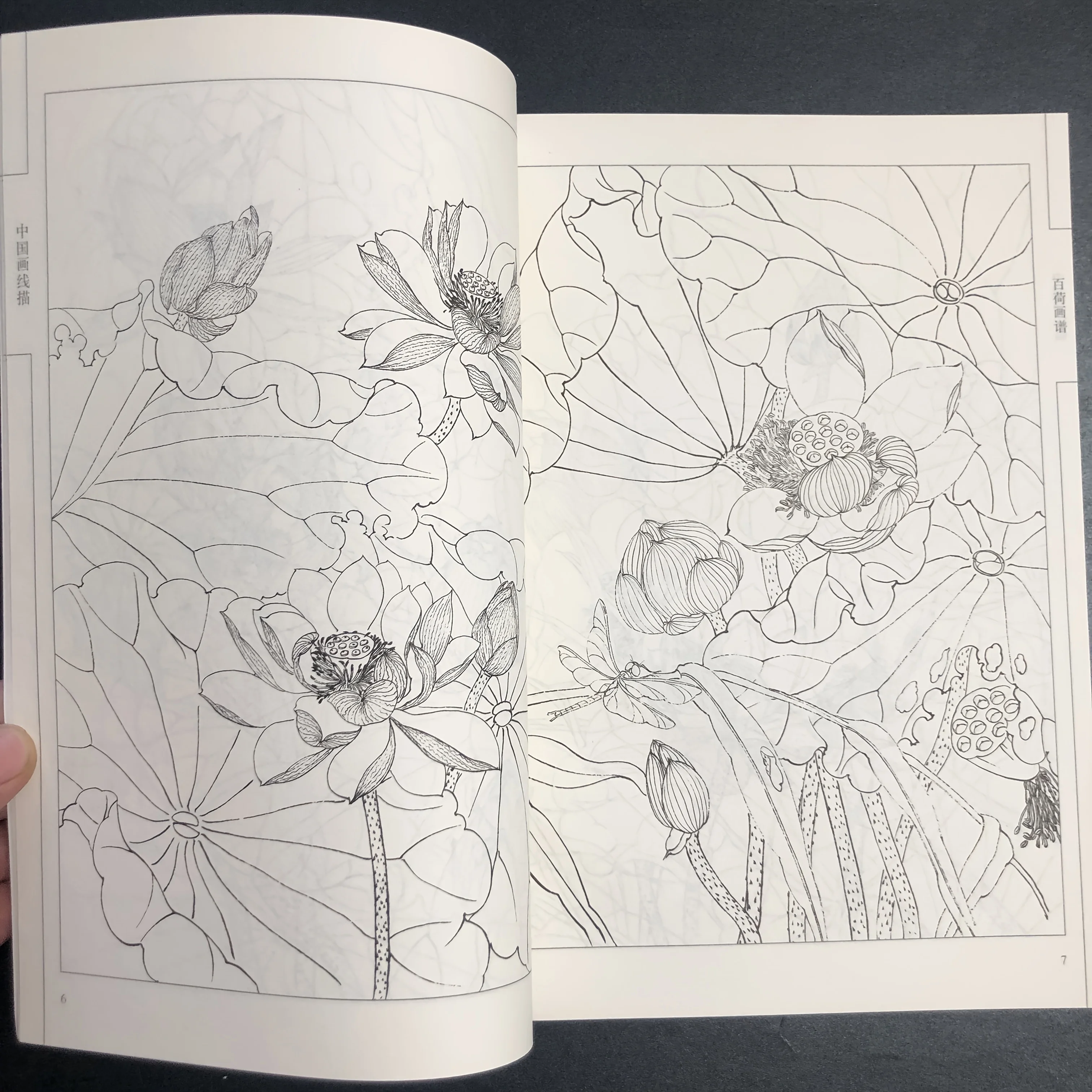 Coloring Book for Adults and Teens Featuring  with Easy and Simple Designs for Relaxation Chinese painting sketch