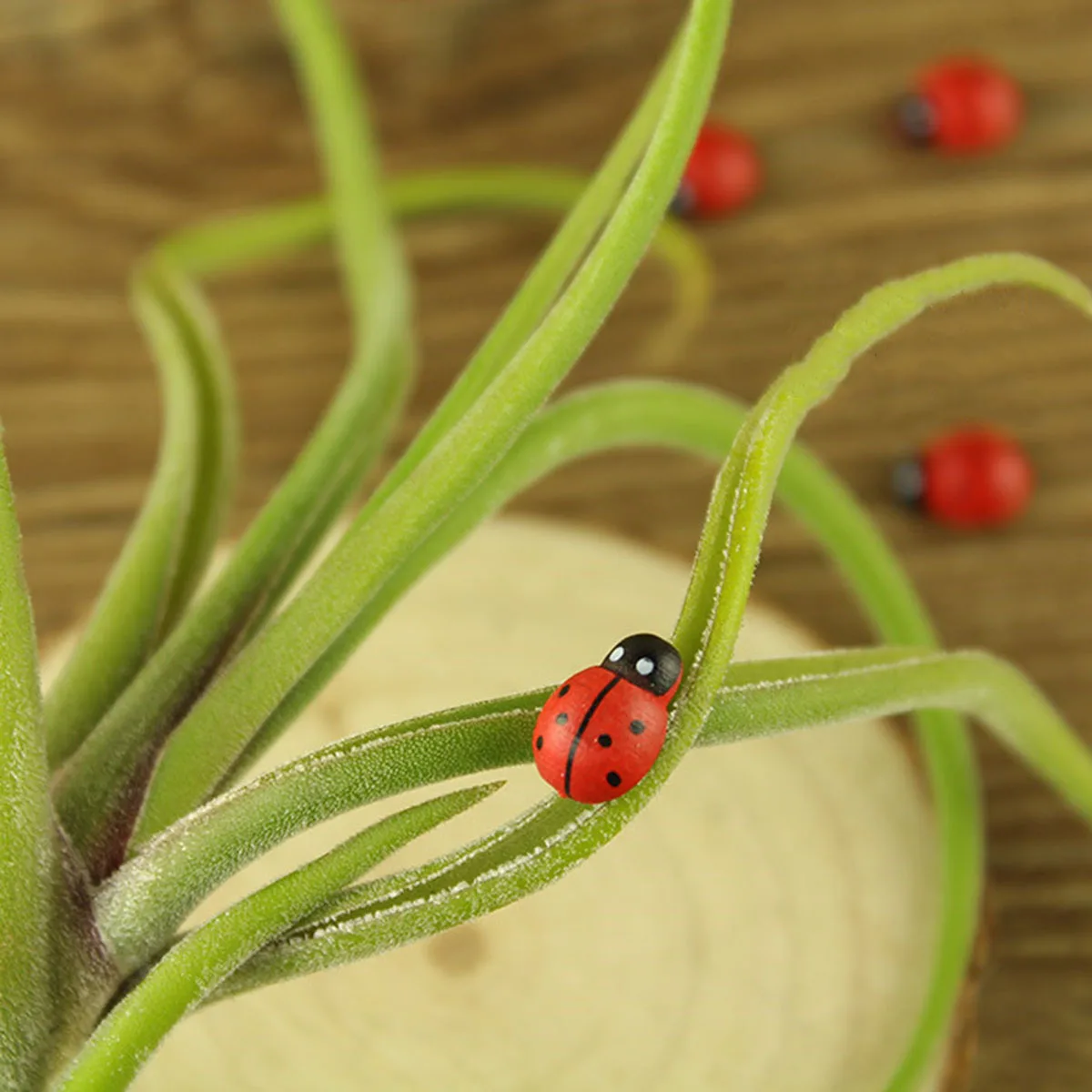 

300Pcs Creative Decor Miniature Plant Decoration Red Small Craft Gift for Children Cognitive Development