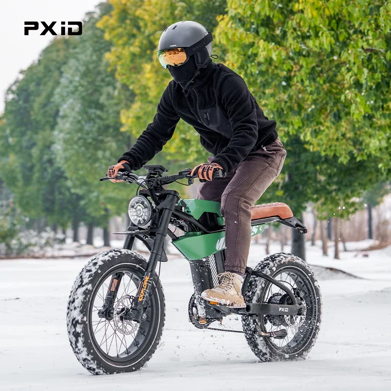 PXID P6 20 inch best fatbike 750w 1200w electric dirt Motorcycle full suspension e bicycle mtb