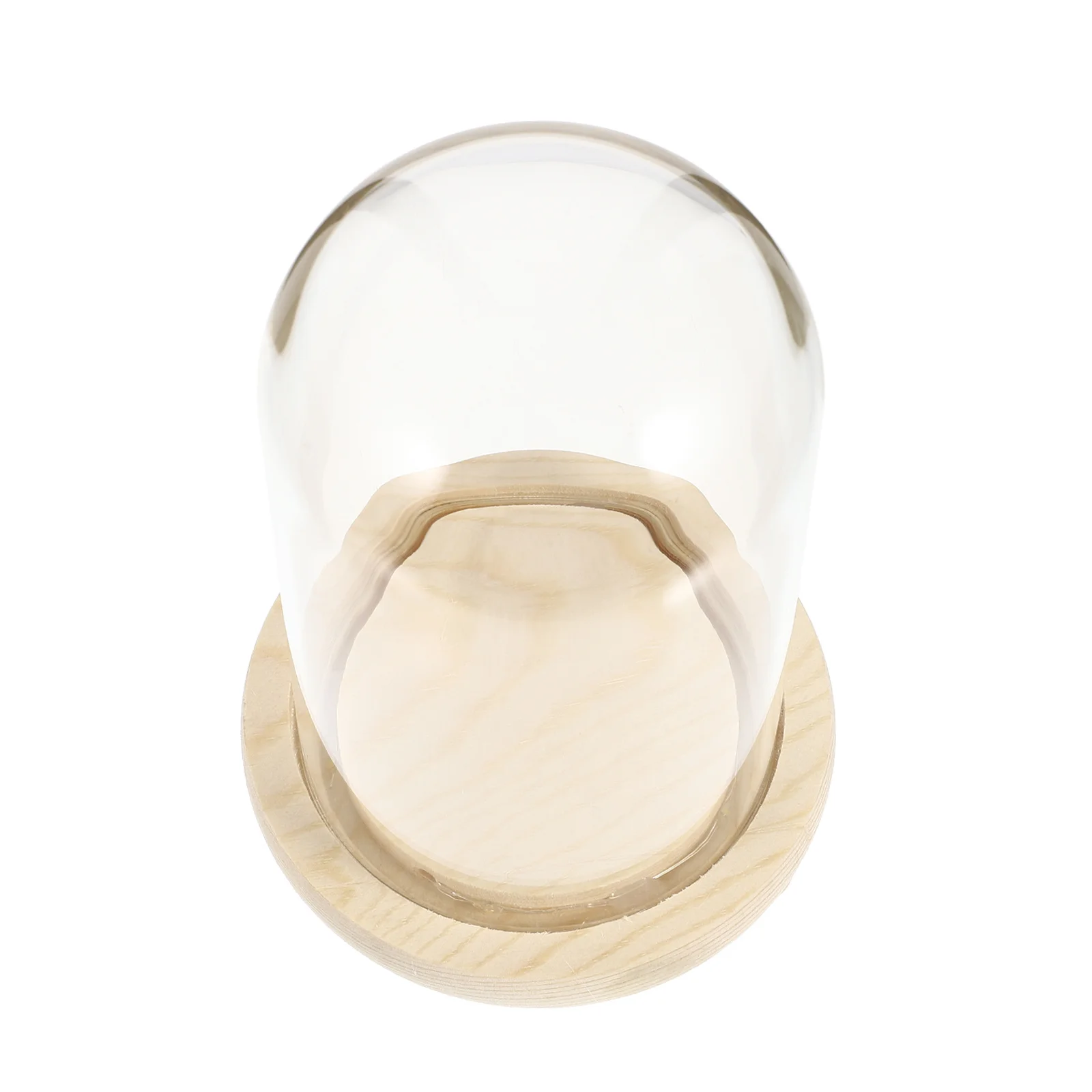 

1Set Glass Cover for Preserved Flower Elegant Desktop Decor Adornment Fine Workmanship Stable Flat Bottom Compact Size Angel