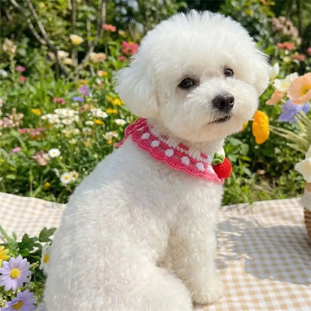 Stylish Adjustable Flower Pet Scarf Bib Handmade Decorative Cat Strawberry Collar Sweet Cozy Pet Cat Necklaces Spring Collection