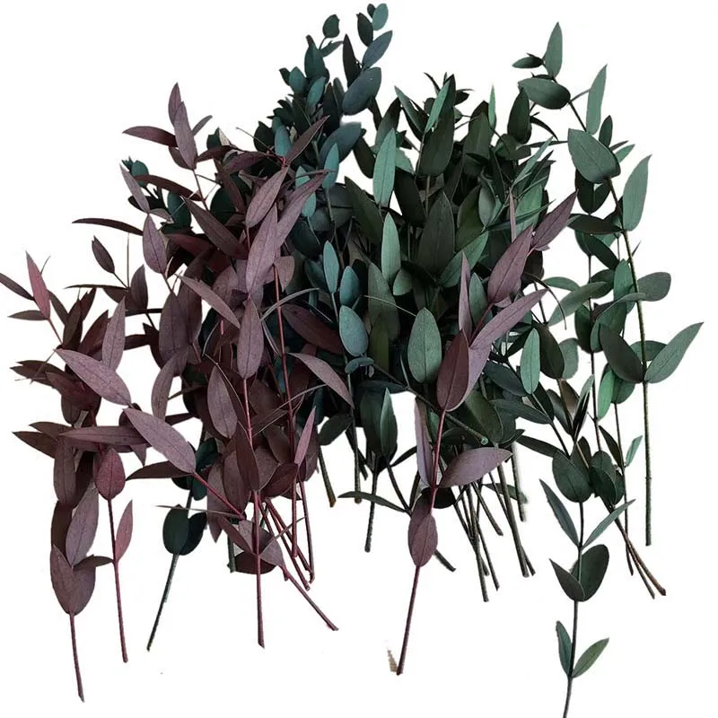 

50PCS/10~20CM Real Natural Preserved Eucalyptus Small Dried Leaves Branches DIY For Candle Making Supplies,Resin Crafts Material