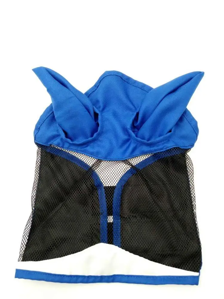 رسن حصان الانفصالي، معدات سلامة الفروسية