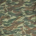 Lizard Camo