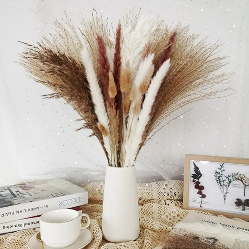 Dried Pampas Reed Wheat Ears, Rabbit Tail Grass, Natural Real Bouquet for Party, Cafe, Shop, Wedding, House Decoration, Balcony