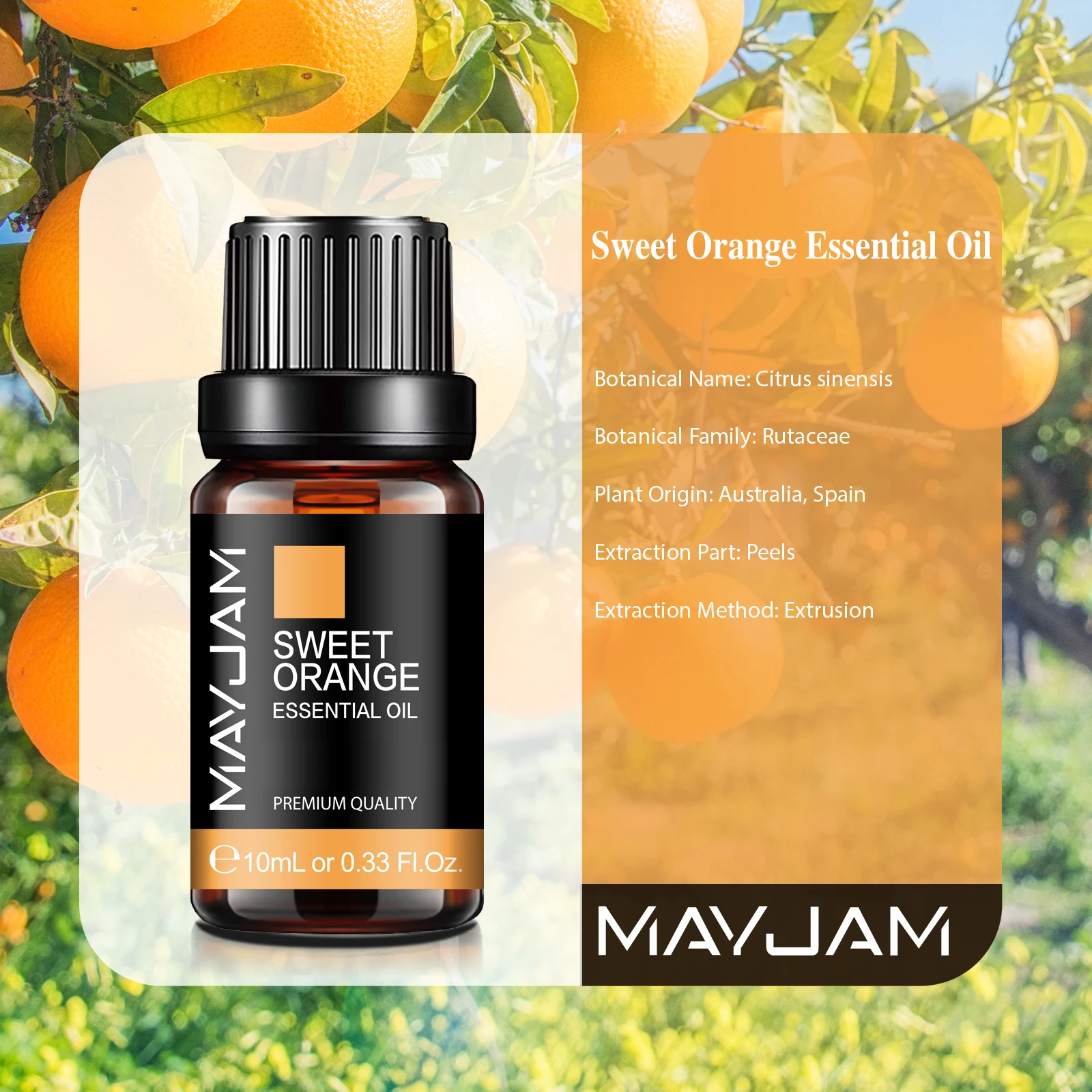Huiles essentielles naturelles pures 10 ml : citronnelle, lavande, menthe, citron, arbre à thé, vani