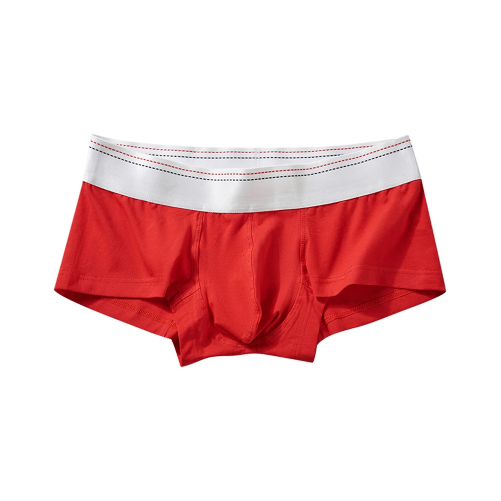 Short en coton sexy en forme de U pour homme, sous-vêtement élastique, culotte en poudre sans couture, solide, taille basse, slip de synchronisation