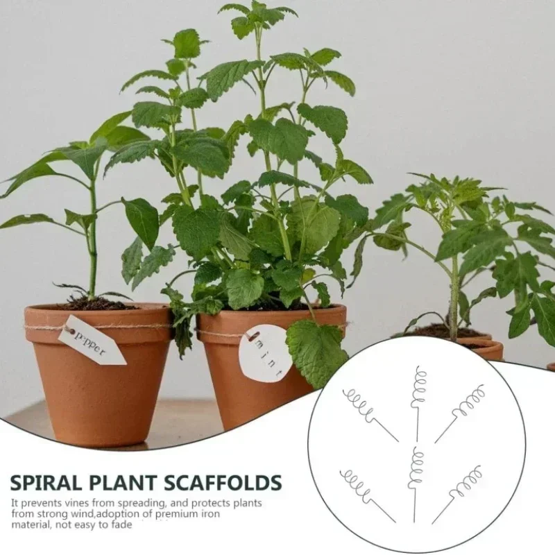 Climbing Plant Support Stake Stand Climbing Vine Rack Tomato Spiral Stakes, Durable Bonsai Metal Spiral Tomato Stakes Garden