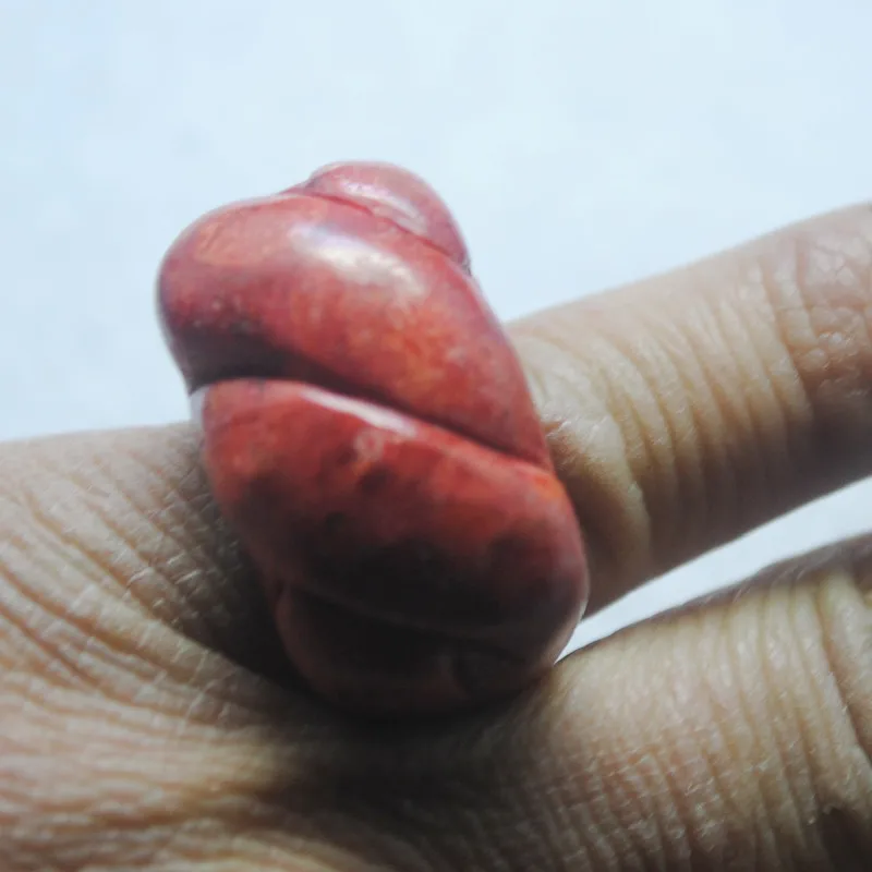 

1PC Fashion Women Rings Natural Sponge Coral Material Hole Diameter 19MM DIY Jewelry Accessories Sepcial ITEMS