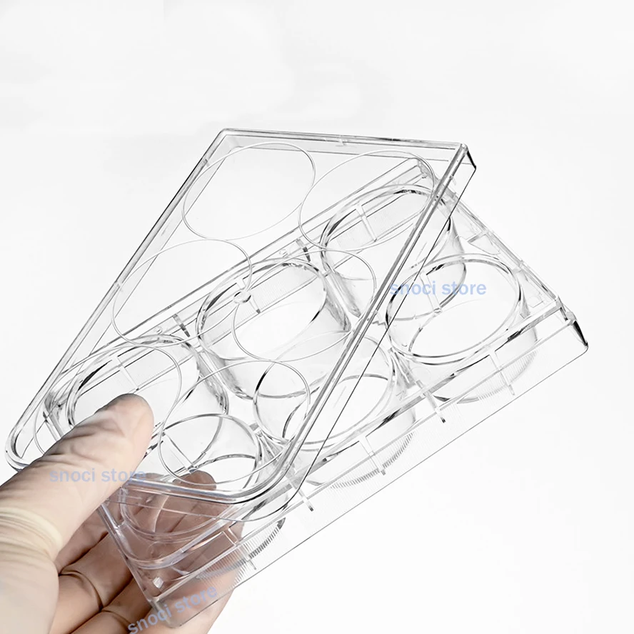 Polystyrene Petri Dish 6 holes Cell Culture Plate, 6-Well Tissue Culture Plate,Individually Wrapped with Lid Flat Bottom 5Pcs