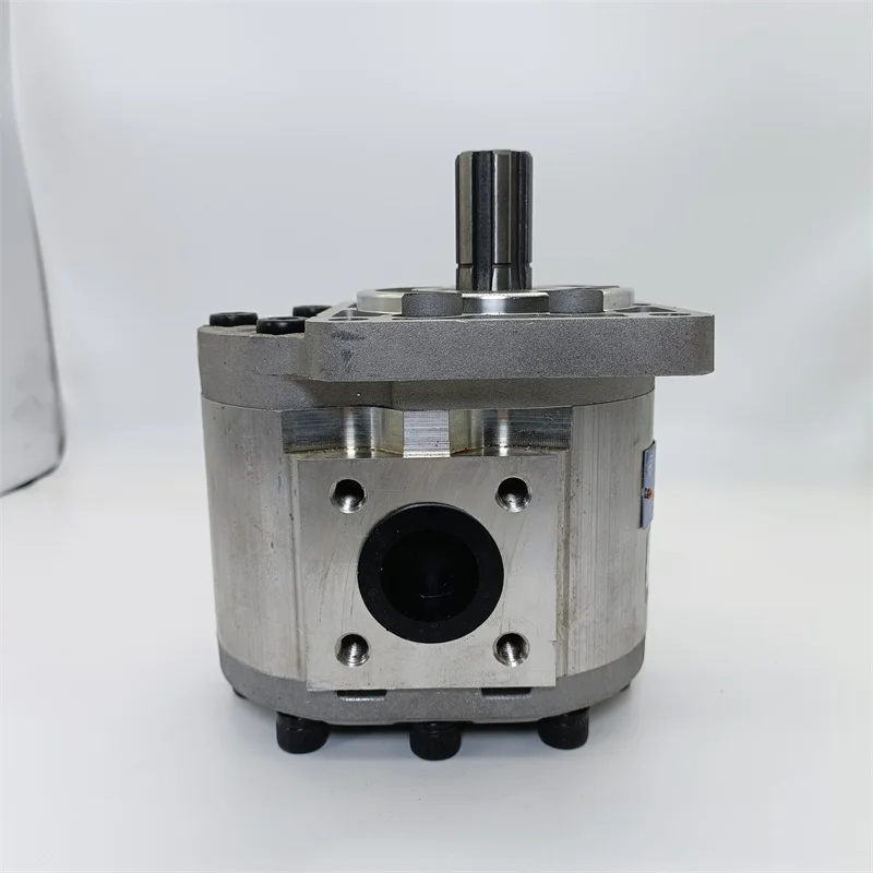 Changyuan CBN-F50-BFHL E32 E50 Hydraulic Gear Pump CBN-F580/F563/F540/F532/F50/F63-CFH/BFP/BFPL/BFH/BFHL/BFHR CBN-F E E310