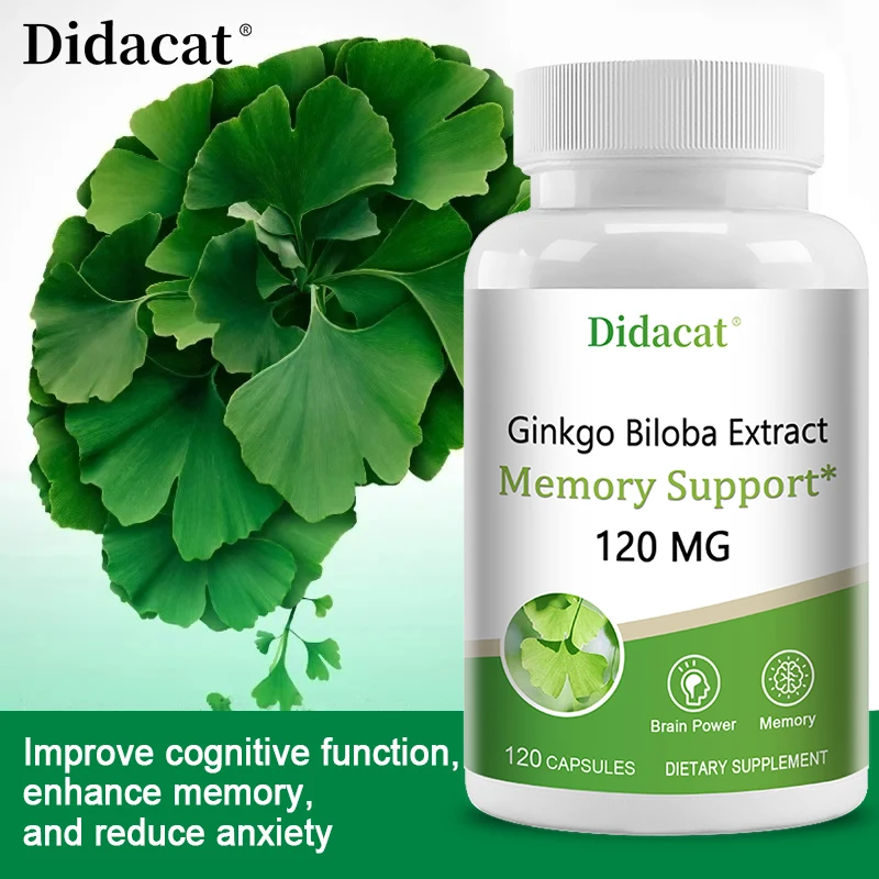 Ginkgo Biloba Extract Supplement Supports Brain Function and Memory, Focus, Brain Power, 120 Vegetarian Capsules