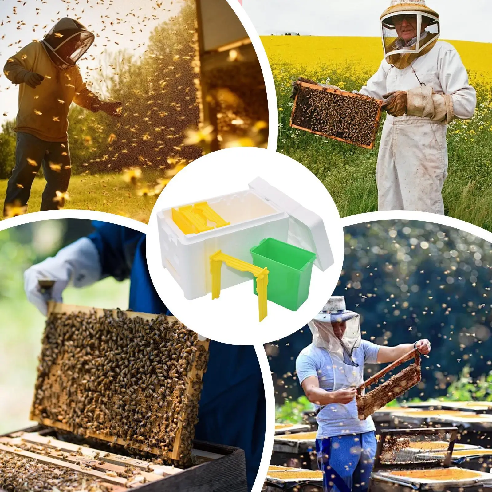 Queen Bee Rearing Mating Beehive Beekeeping Tools Foam Beehives NucHarvest Pollination BeesHive Box Gardening Supplies