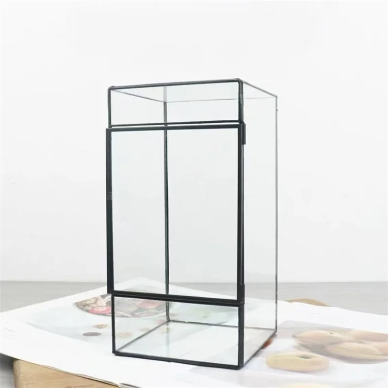 Mini Rainforest Fern Moss Ecological Square Shape Geometric Glass Terrarium Tabletop Plant Glass Vase Container Table Greenhouse