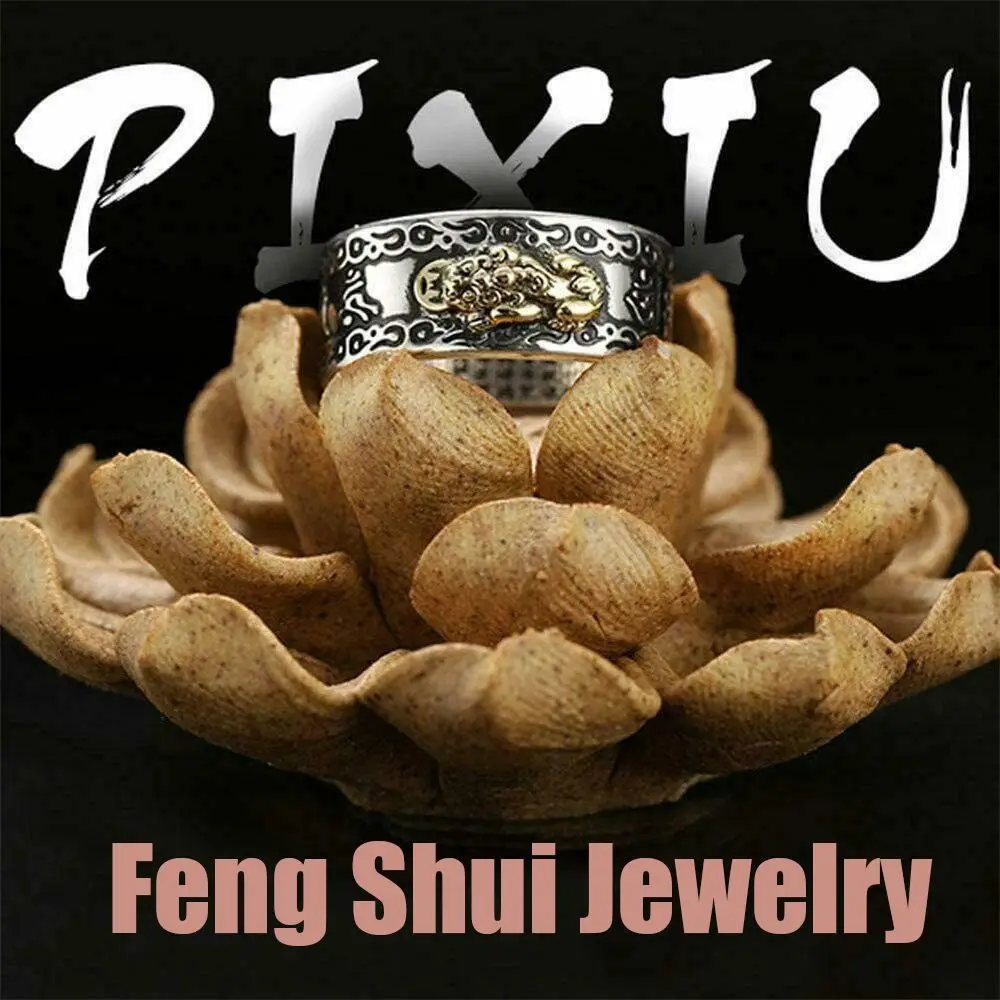 Retro Pixiu Charms Ring Unisex Adjustable Women Men Feng Shui Jewelry Amulet Protection Wealth Buddhist Vintage Jewelry Rings