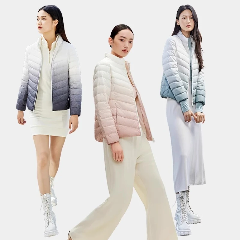 Chericom Kurze Daunenjacke mit Stehkragen und Farbverlauf, versteckte Taschen mit Reißverschluss, schmal geschnittenes Design, leichter Mantel Y289010Y