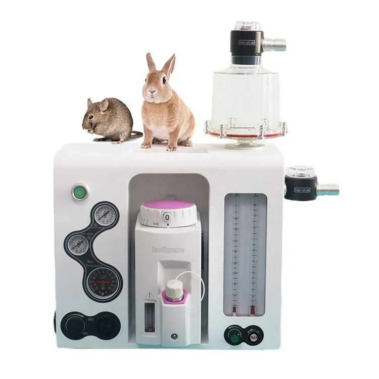 

Portable Vet Hospital Medical Equipment Veterinary Anesthesia Machine For Animals