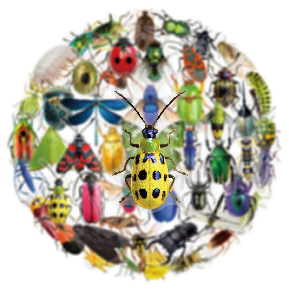 10/25/50 Uds pegatinas de insectos transparentes mixtas calcomanías para papelería DIY Scrapbooking cuaderno decoración teléfono portátil