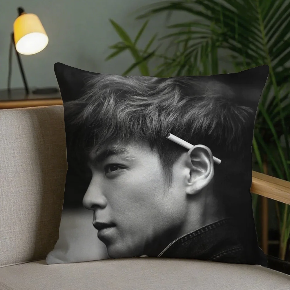Top Bigbang Choi Seung-hyun Pillow Case Square Pillowcase Double-Sided Printing Short Plush Sofa Cushion Bedroom Bedside