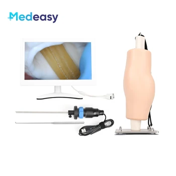 Simulador conjunto do joelho simulado, inspeção armética e treinamento modelo