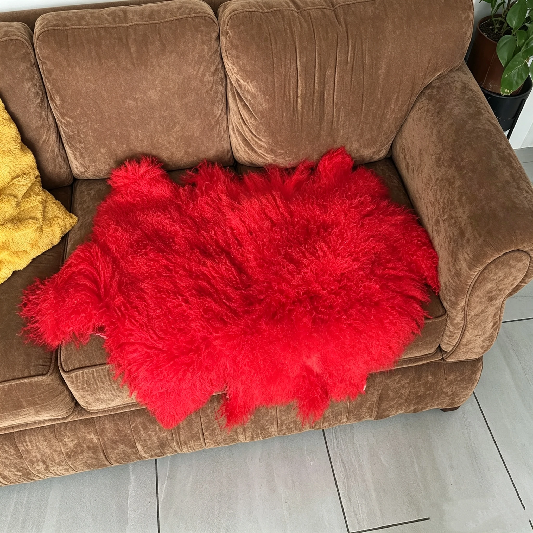 2026 Multicolored Tibet Lamb Fur Pelt Genuine Mongolian Fur Skin Mongolian Sheep Fur Pelt