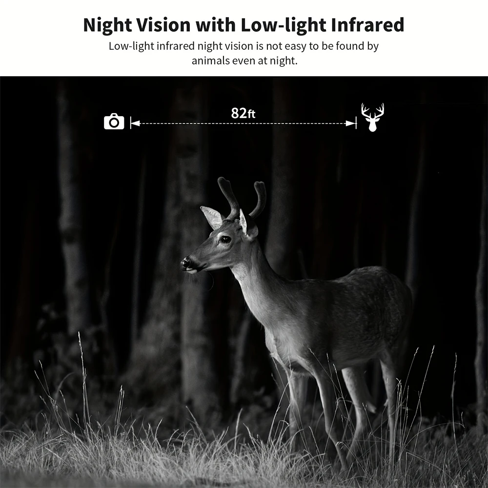 Thumbnail 3 - #4 New Motion Activated Wildlife Cameras Arrivals