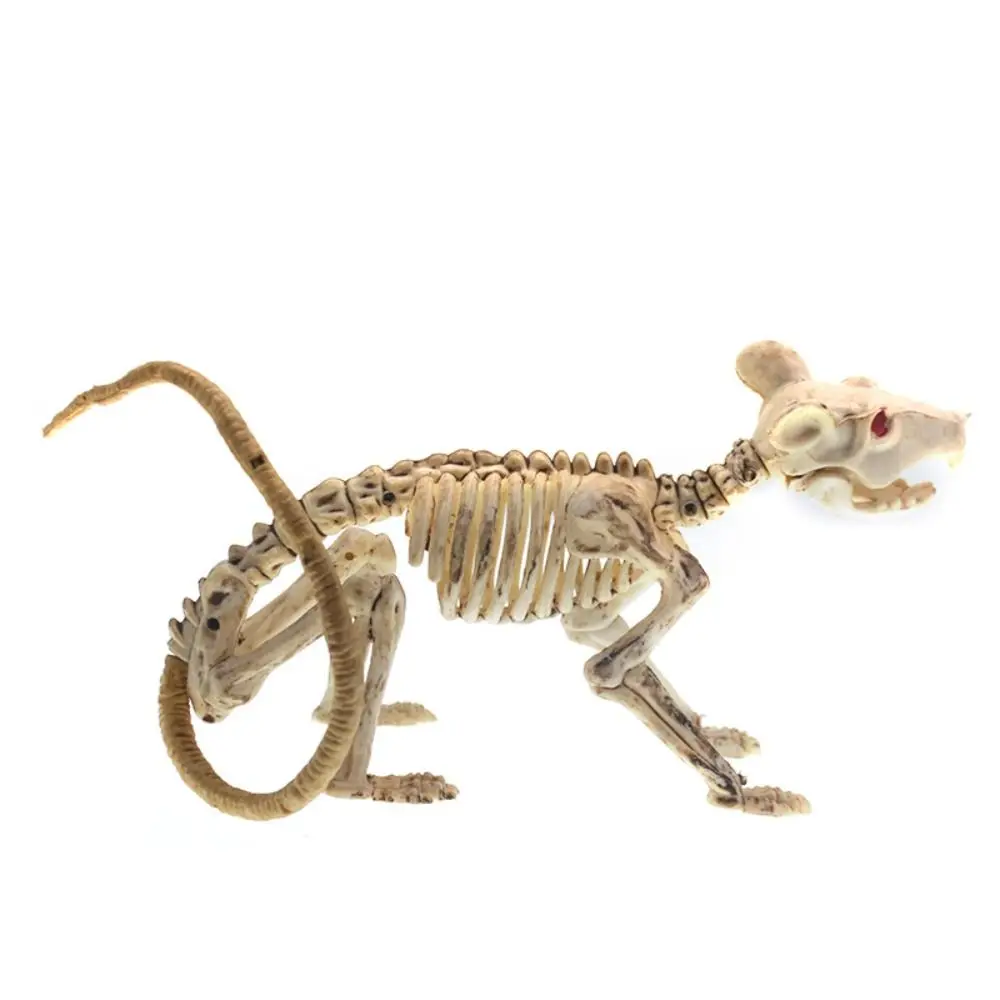 

Human Bones Halloween Bats Skeleton Bat Mouse Lizard Scorpion Scary Halloween Animal Skeleton Plastics Skeleton Model