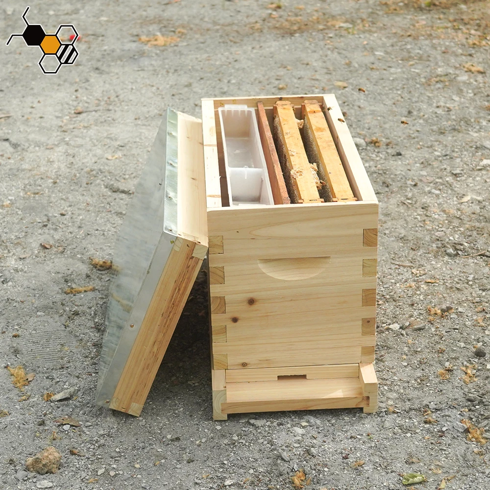 

China Fir 5 Frames Langstroth Nuc Boxes Bee Nuc Box