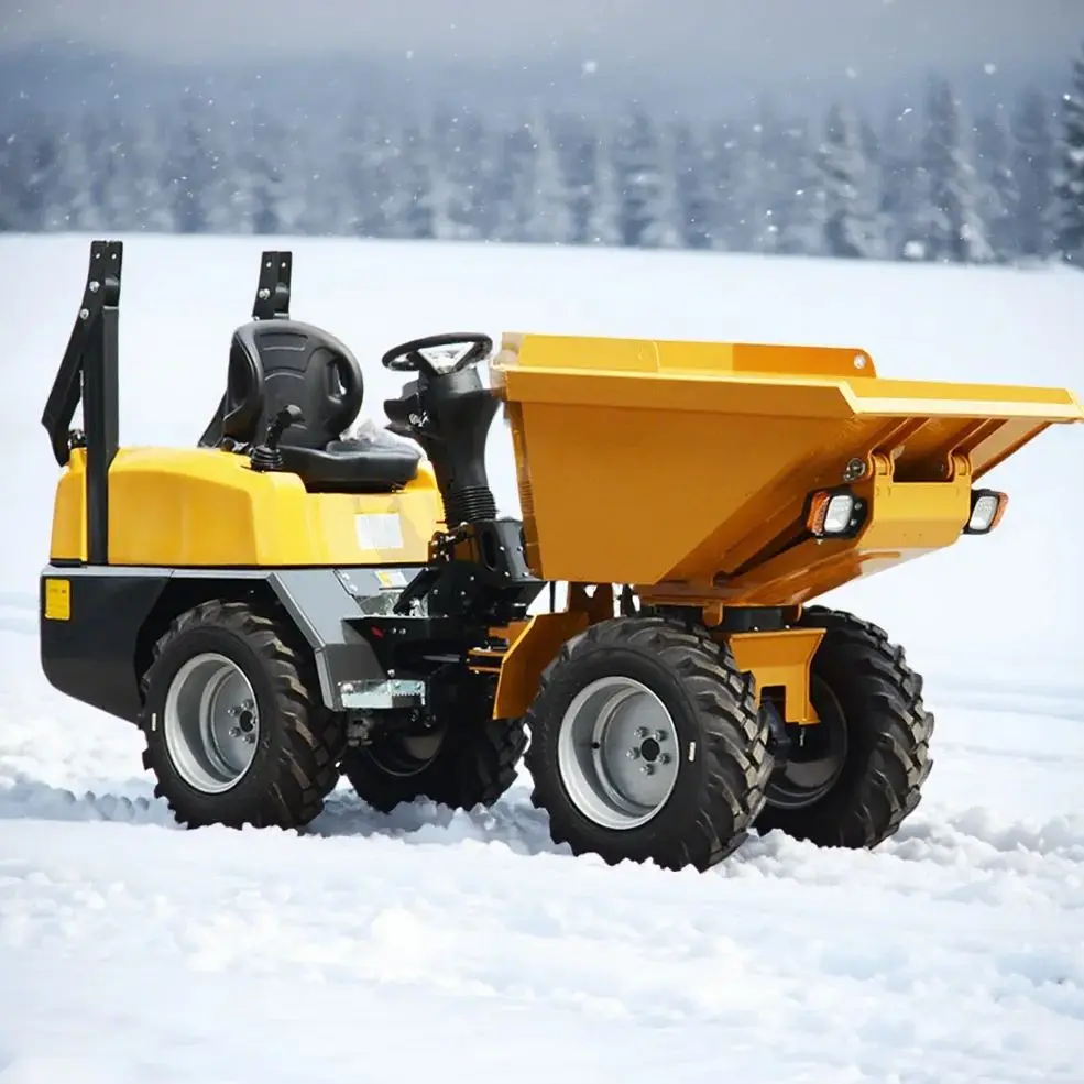 

Customized electric dump truck manufacturer with sturdy structure, new customized product for sale