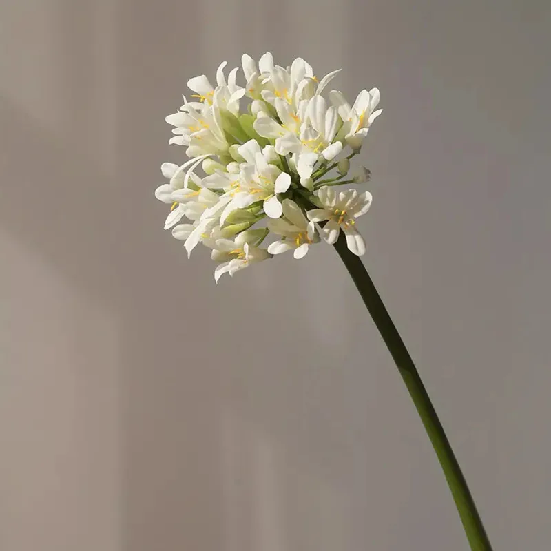 豪華なアフリカの人工アガパンサスの枝,シルクの花,ホテルの装飾,家とテーブルの装飾,写真アクセサリー