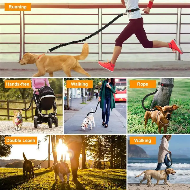 Dog Leashdogs Running Belt Hands Walking Puppy Cat Hiking Large Training Small Rope Leashes Medium Harness Free Canicross Waist