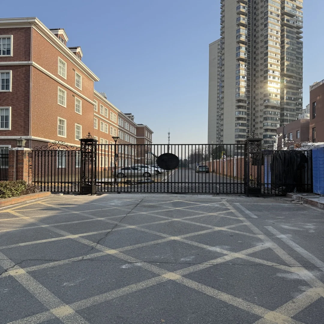 Custom Main Modern Entrance Design Security Dual Swing Wrought Iron Driveway Gates for Farm Houses/Home/Residential/Steel