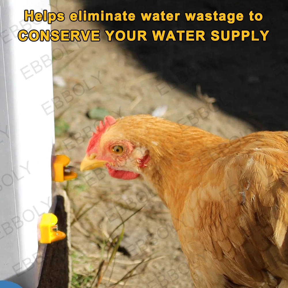 Chicken Waterer Nipples Pack of 15/20/30 Easy Install Automatic Drink No Leak Chicken Water Feeder Poultry Waterer