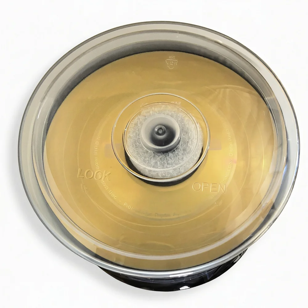 Ritek Digital Audio CD-R Disc Black Music CDR 52X 700MB 80Min 5 Colors 50pcs/pack image 3