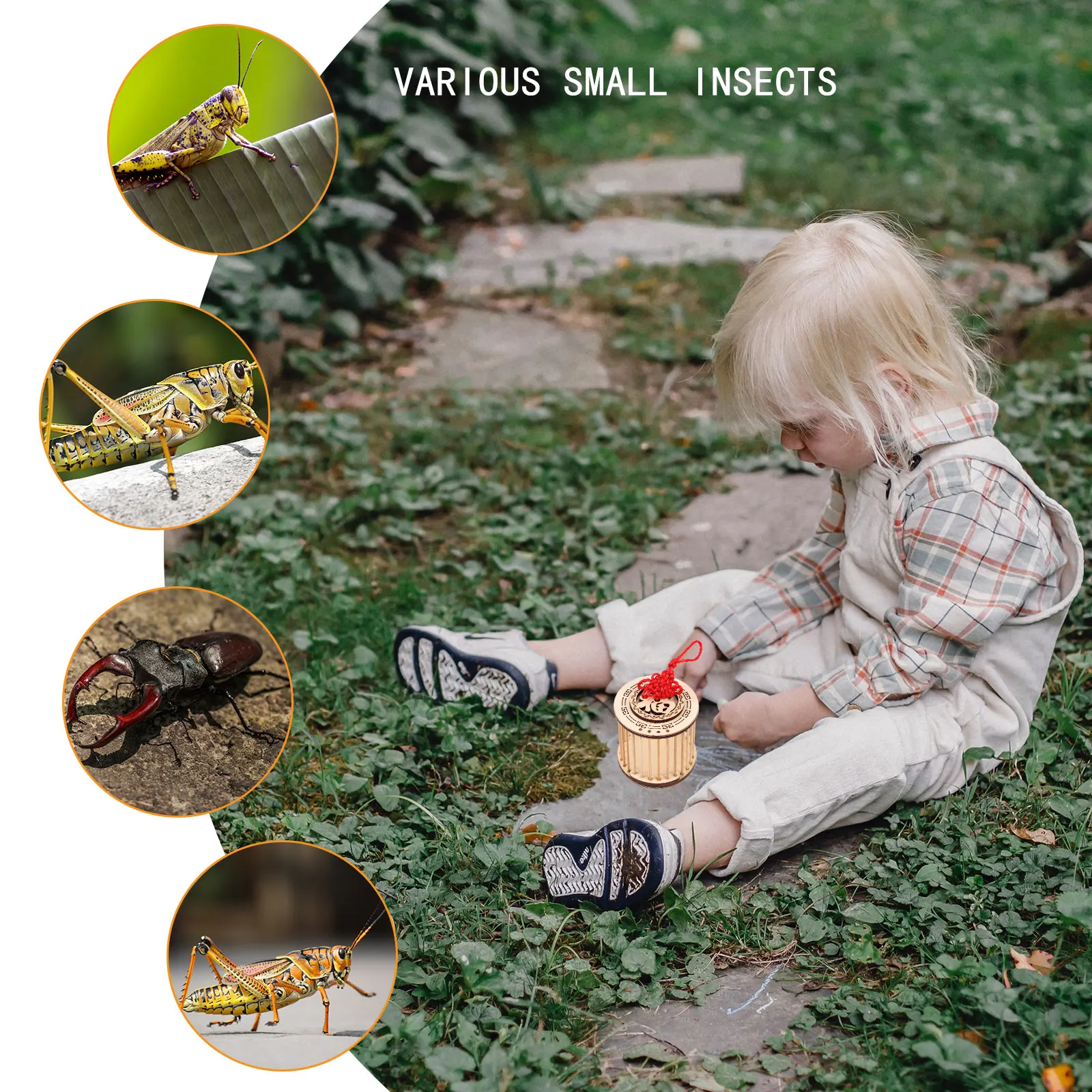 

Bamboo Cricket Cage Portable Grasshoppers Carrier For Home Use Small Insects Storage Hanging Box Outdoor Playing Hand-Made