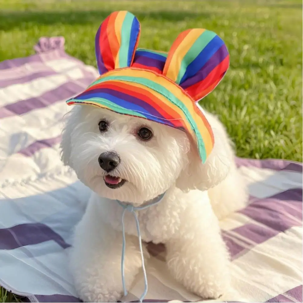 

Cat Ears Flower Stripe Bucket Hat Outdoor Pet Sun Protection Hat Soft DIY Dogs Breathable Fisherman Cap Pet Hat With Ear Holes