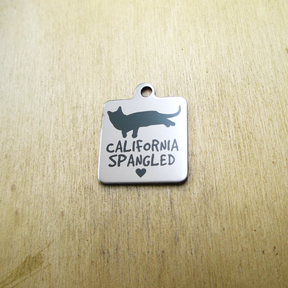 20pcs--California Spangled pet mimi stainless steel charms Laser Engraved DIY Charms Pendants