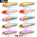 10g- With 2 hooks