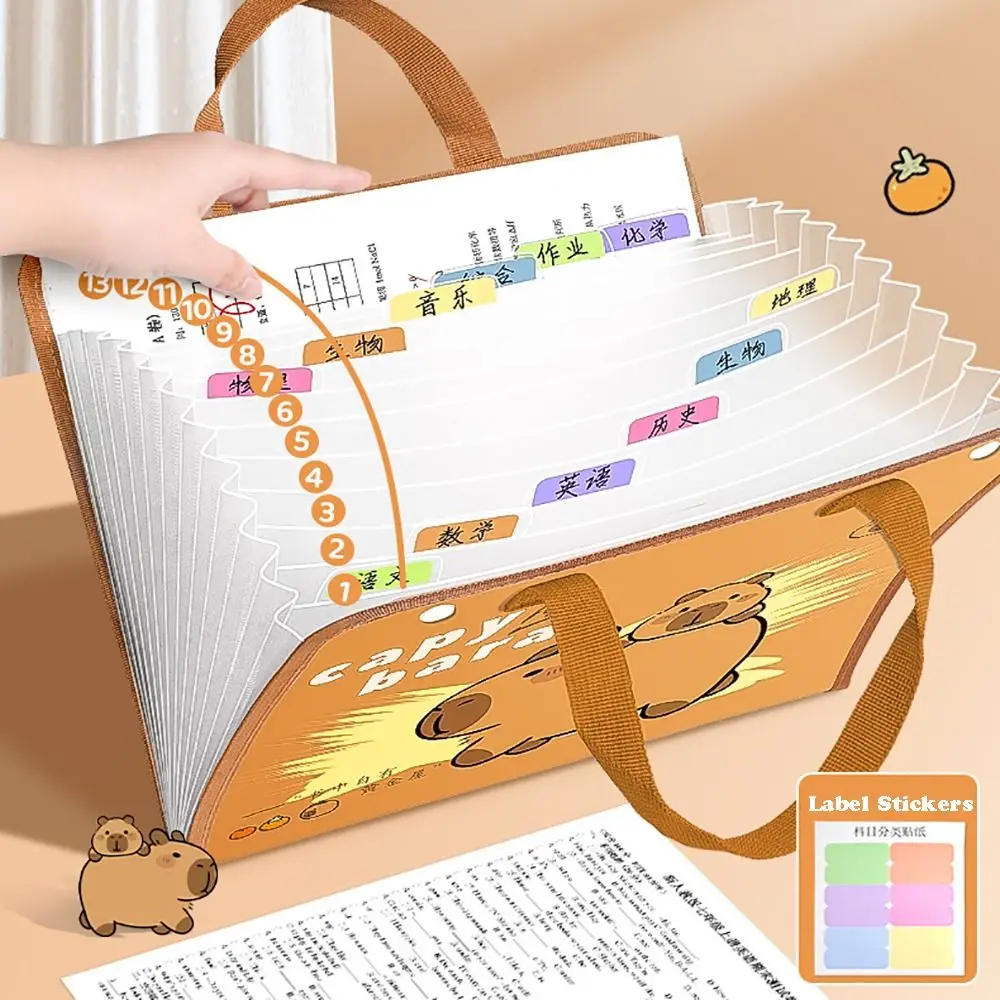 New Capybara A4 File Folder 13 Pockets Waterproof Test Paper Storage Folder Large Capacity Cartoon Document Bag Students
