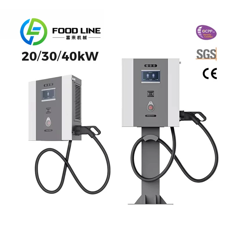 Commercial New IP54 Fast Electric Car DC Charging Station 30kW Column-mounted CCS1/CCS2/NACS/GB/T EV Chargers Customize
