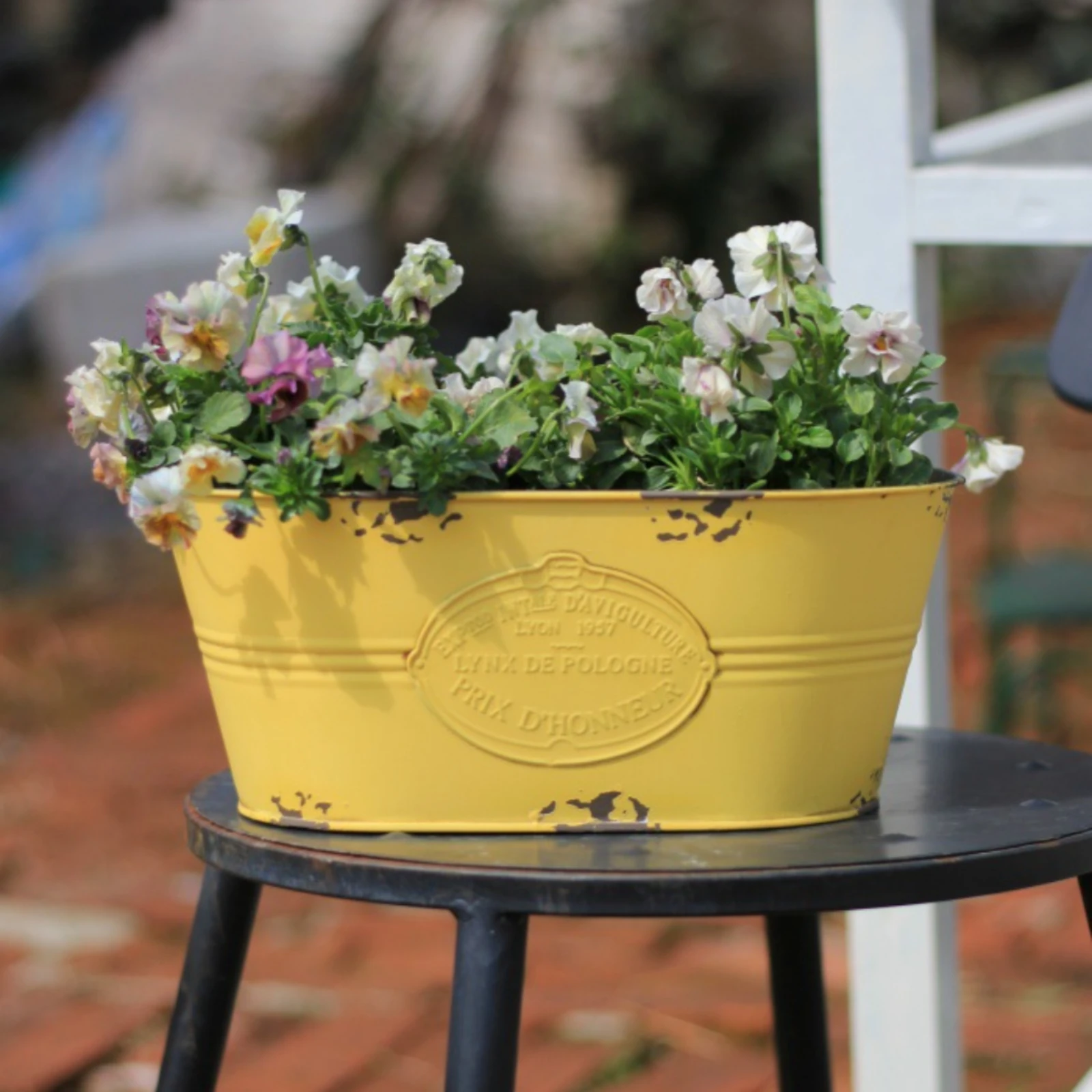 Oval Iron Flower Pot Flat Bottom Iron Planter Oval Planter Pot No Drainage Hole Plant Container Stable Base