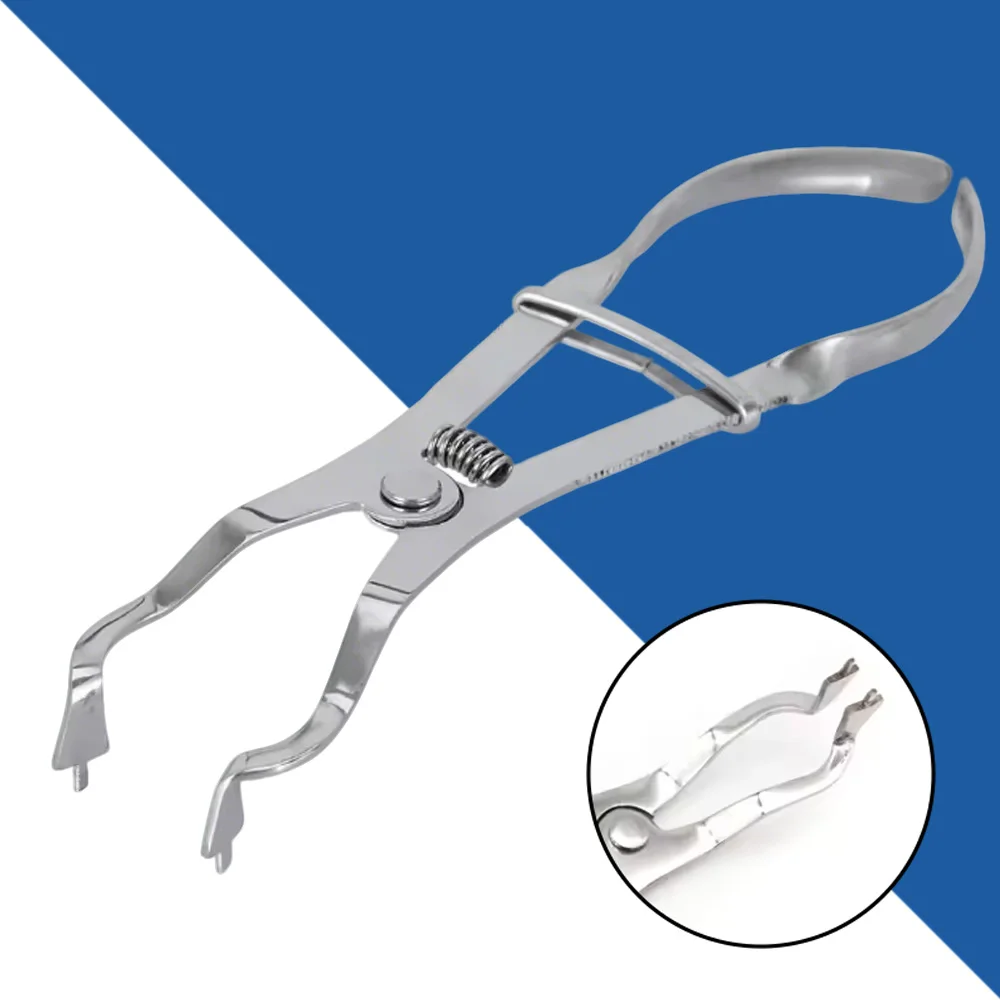 

Dental Rubber Dam Clamps Ivory Clamp Forceps Restorative Instruments Forming Pliers for Crown and Bridge Dental Procedures
