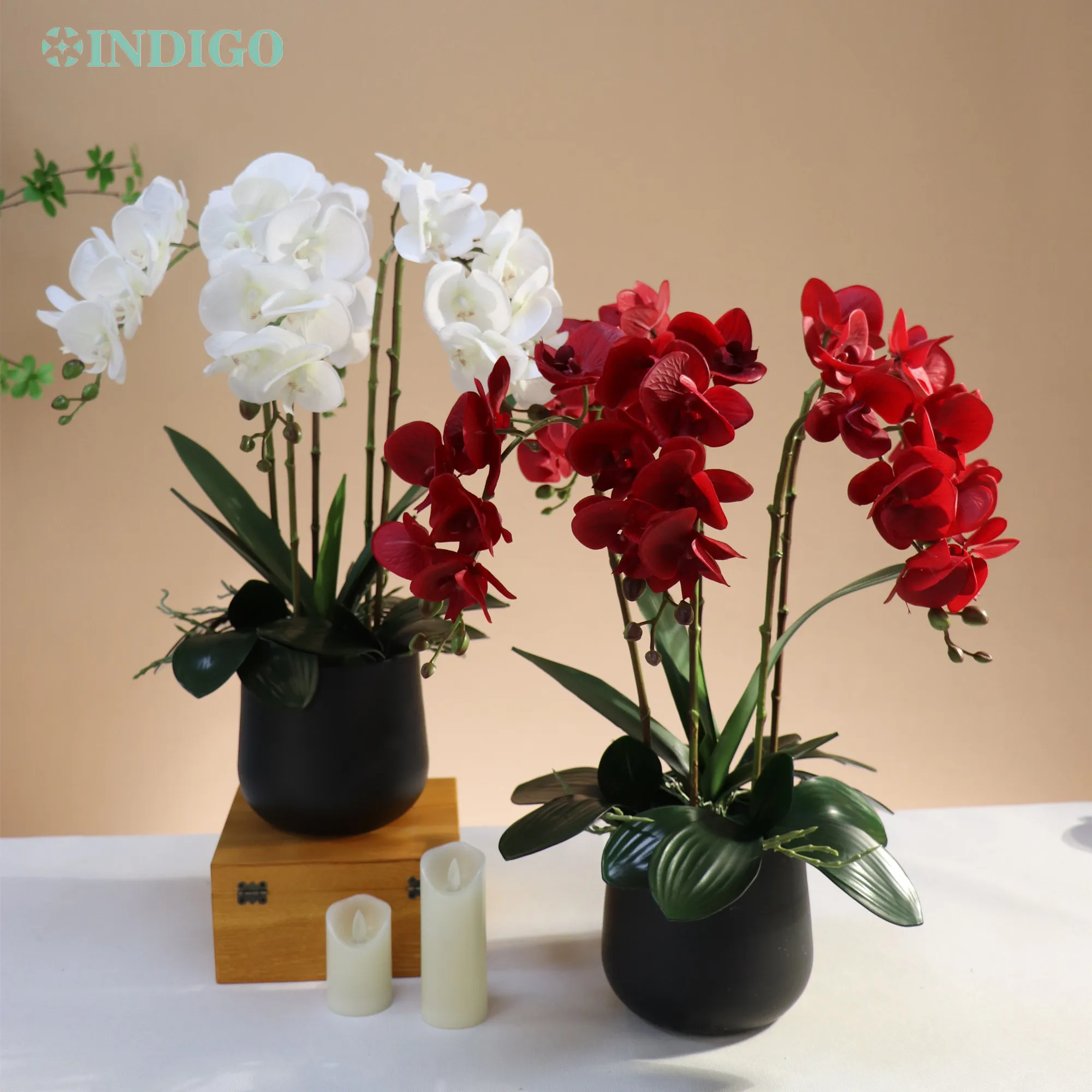 INDIGO-3D White Orchid Flower Arrangment, Real Touch, Office Decoration, Vase, DIY, (5Pcs Flower 4Pcs Leaves + Moss+ Vase)