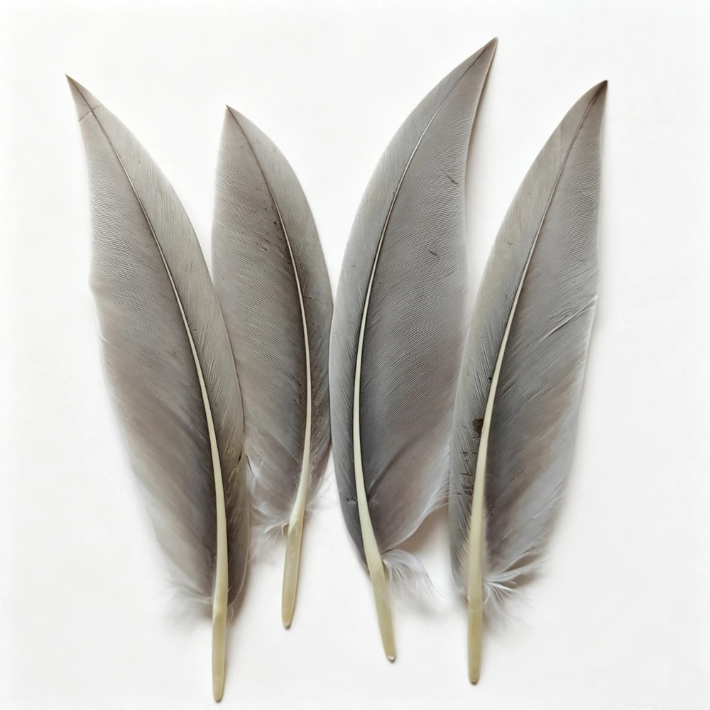200Pcs Natural Grey Curved Goose Quill Feathers,Original Color Knife Shape Goose Feathers for DIY Craft,Headdress&Costume Decora