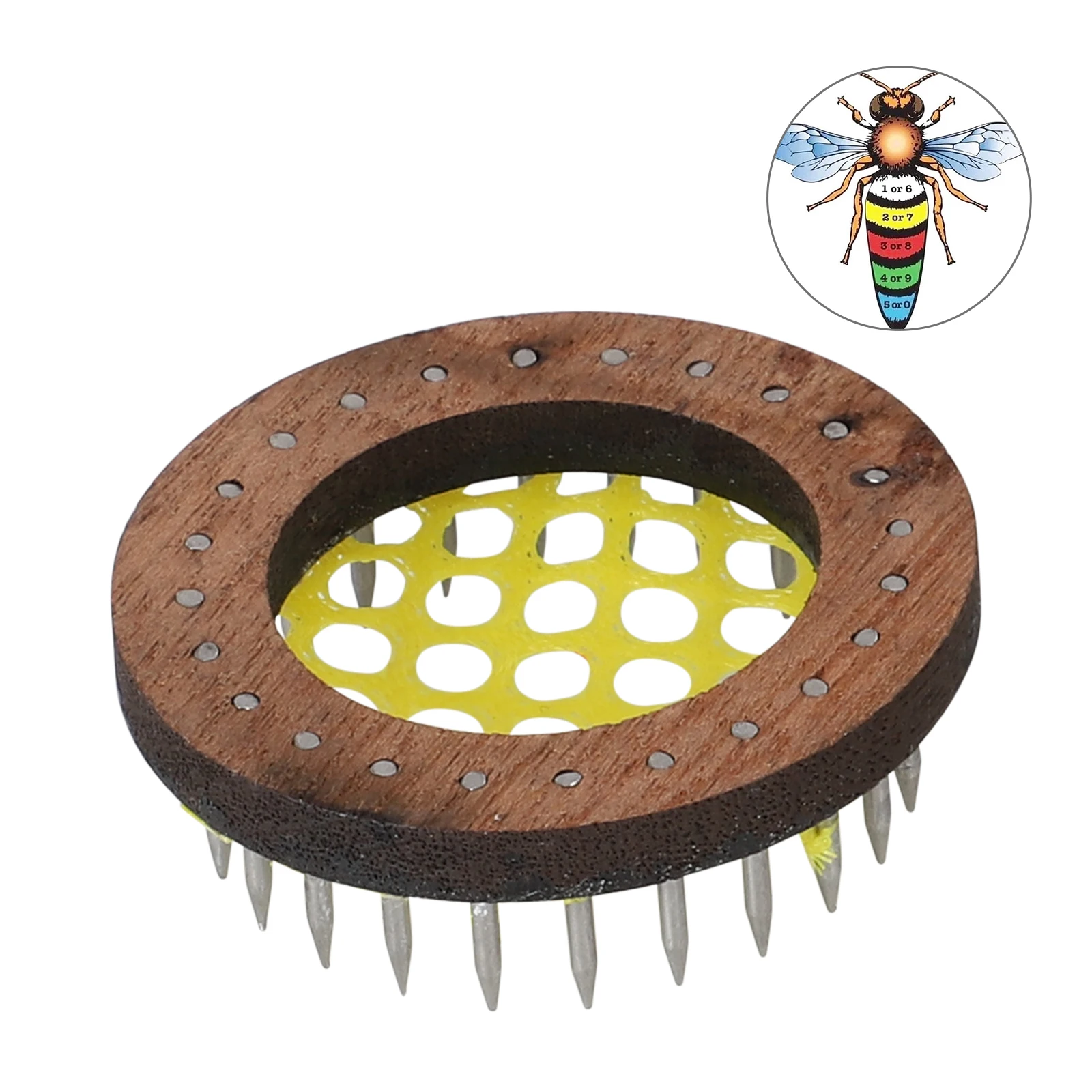 2PCS Queen Bee Catcher Isolation Room Needle Type Queen Marker Cage Push-In Queen Bee Marking Cage Bee Cage Beekeeping Tools